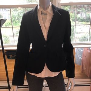 Express single button blazer